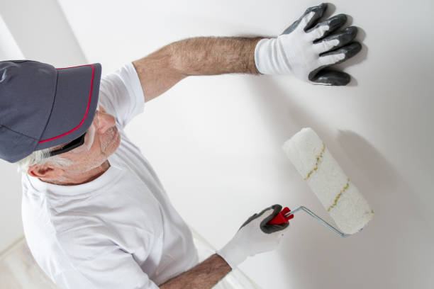 Best Emergency Mold Remediation  in Stagecoach, NV